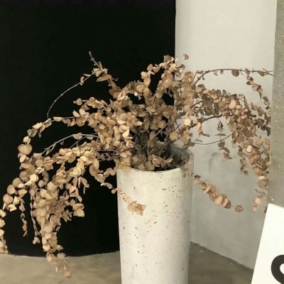 兽设科幻风格创作FurryQQ群